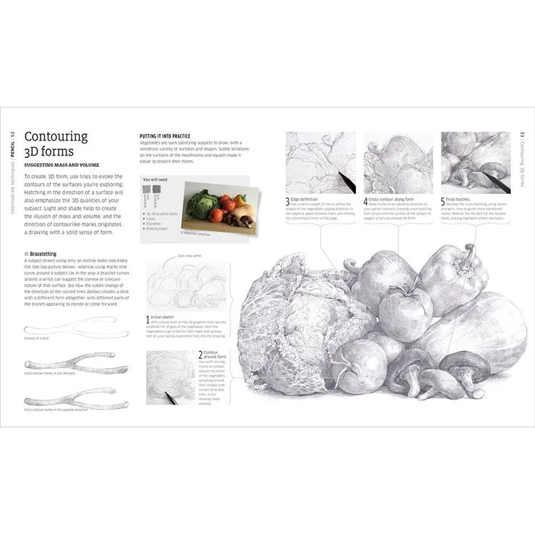 Artist's Drawing Techniques