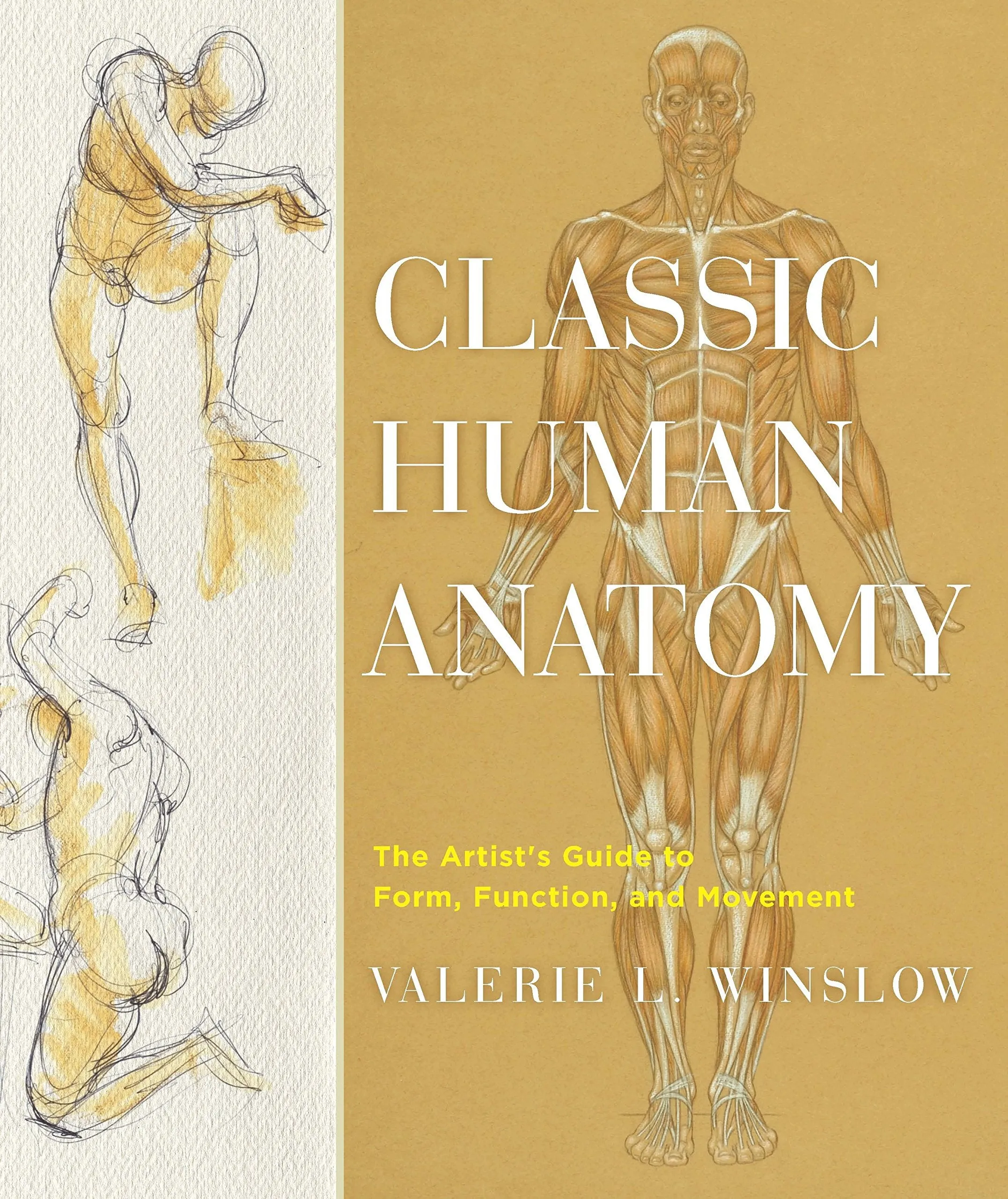 CLASSIC HUMAN ANATOMY HC