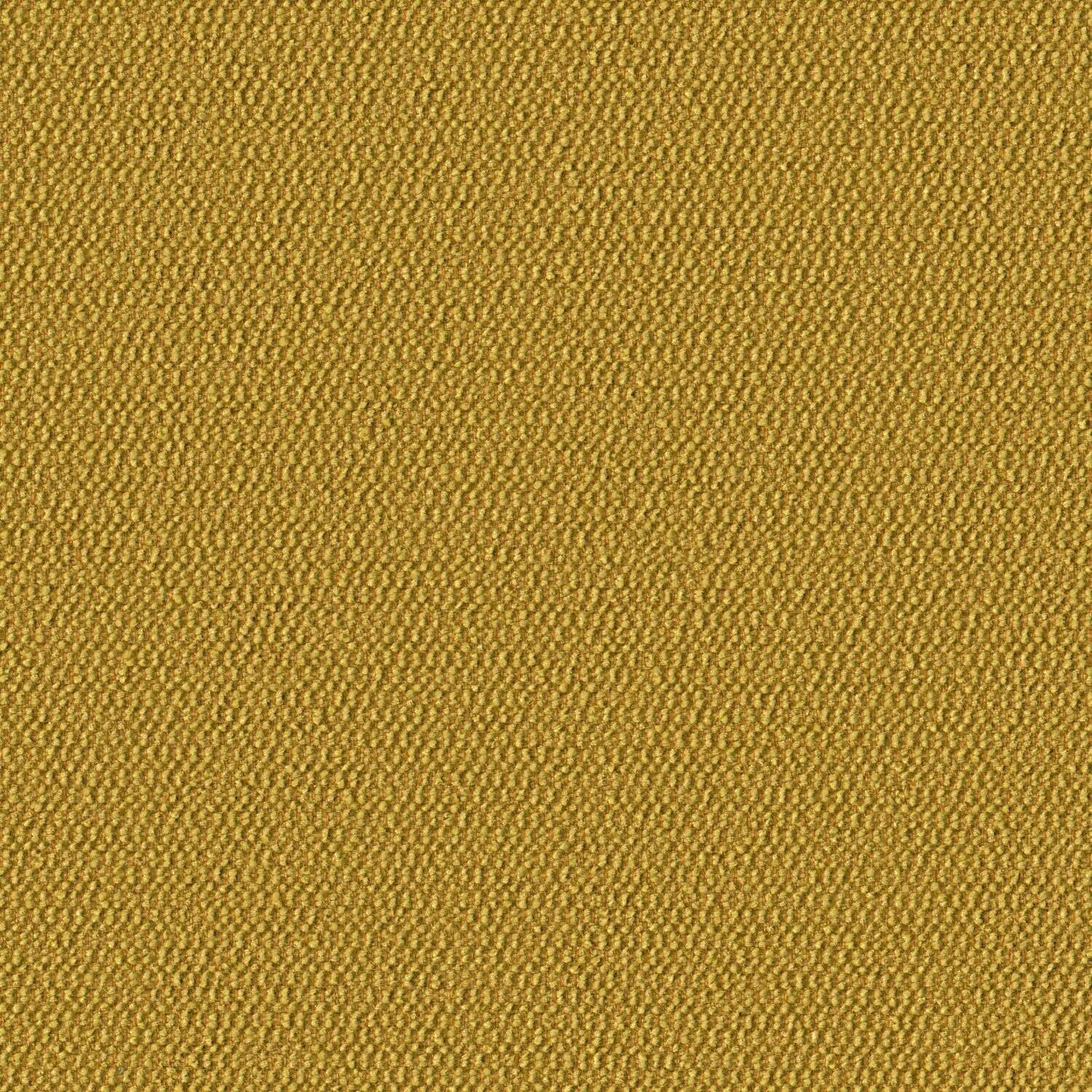 Demi Boucle - Chamomile - 2005 - 15
