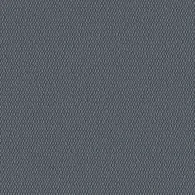 Demi Boucle - Igneous - 2005 - 06