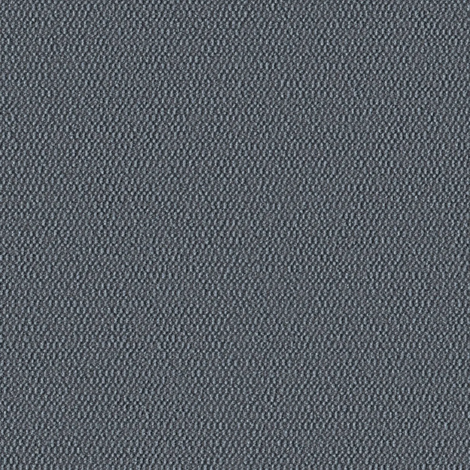 Demi Boucle - Igneous - 2005 - 06