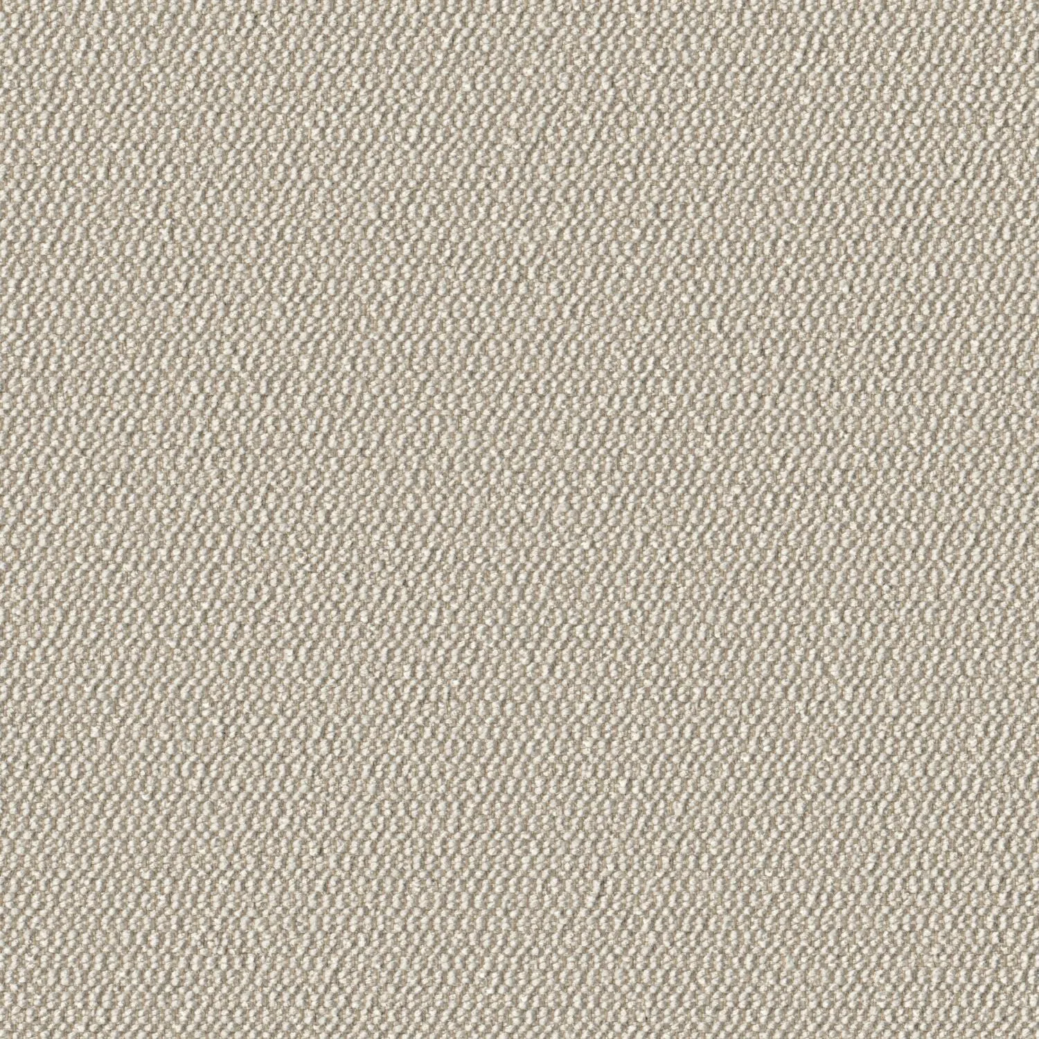 Demi Boucle - Wishbone - 2005 - 03