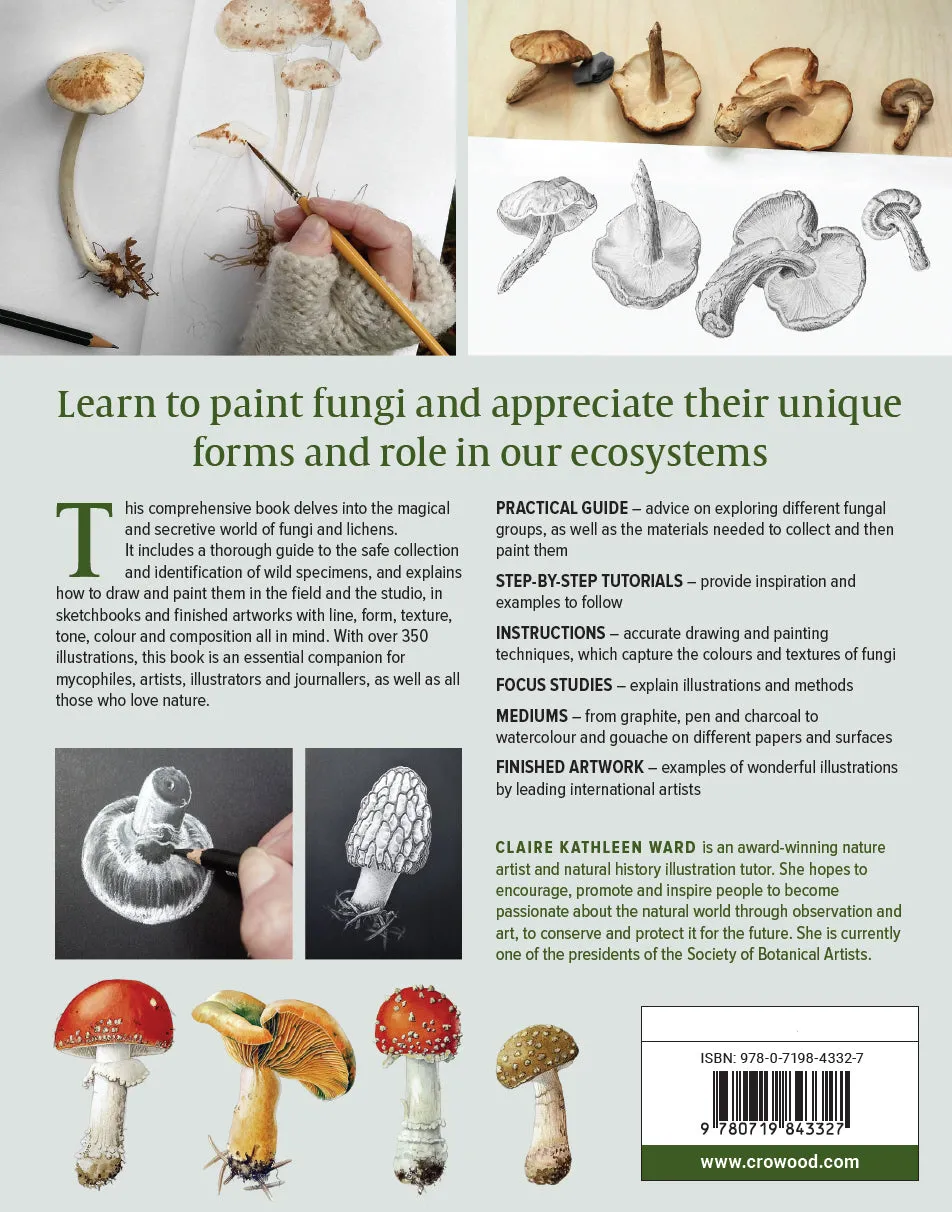 Drawing and Painting Fungi