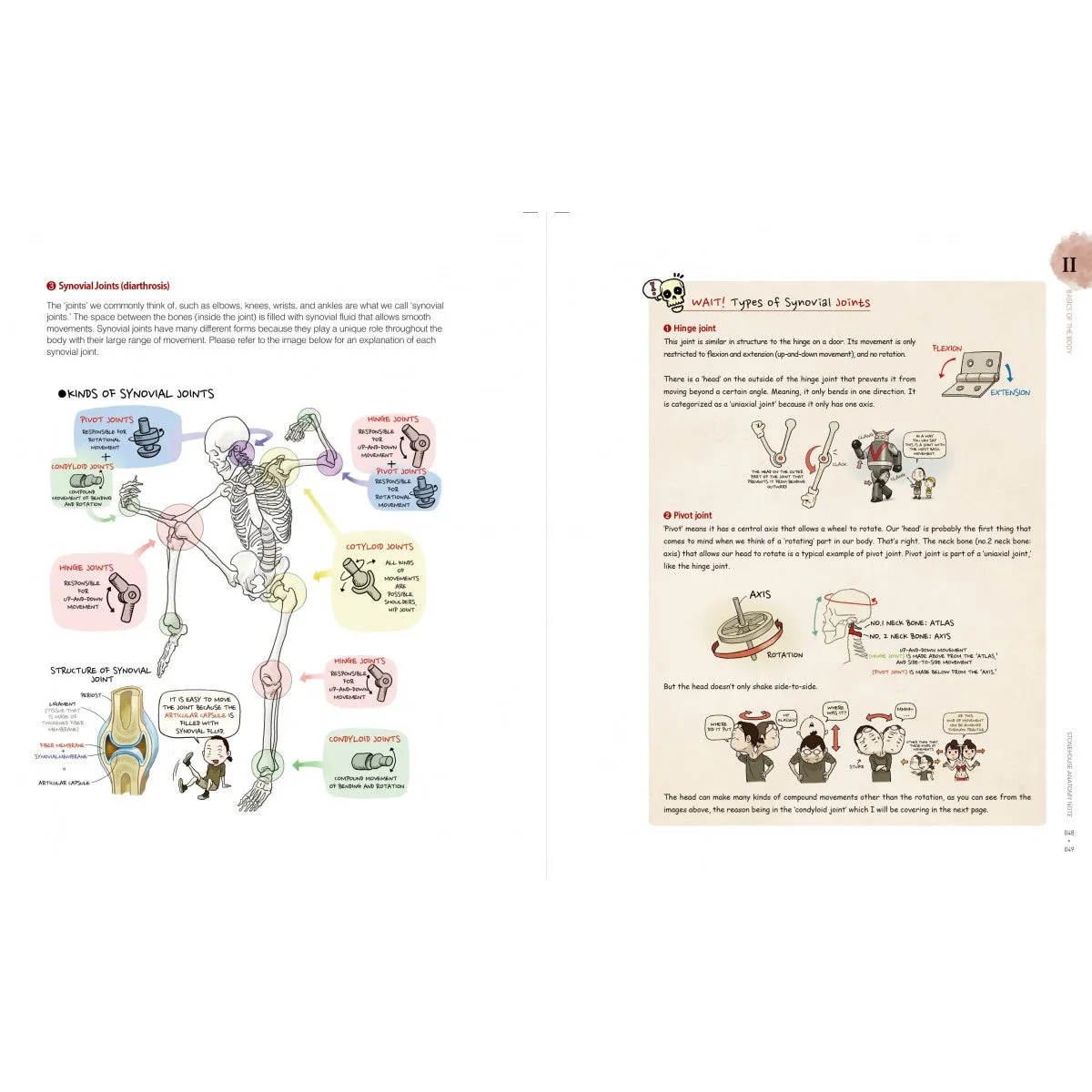 Stonehouse Anatomy