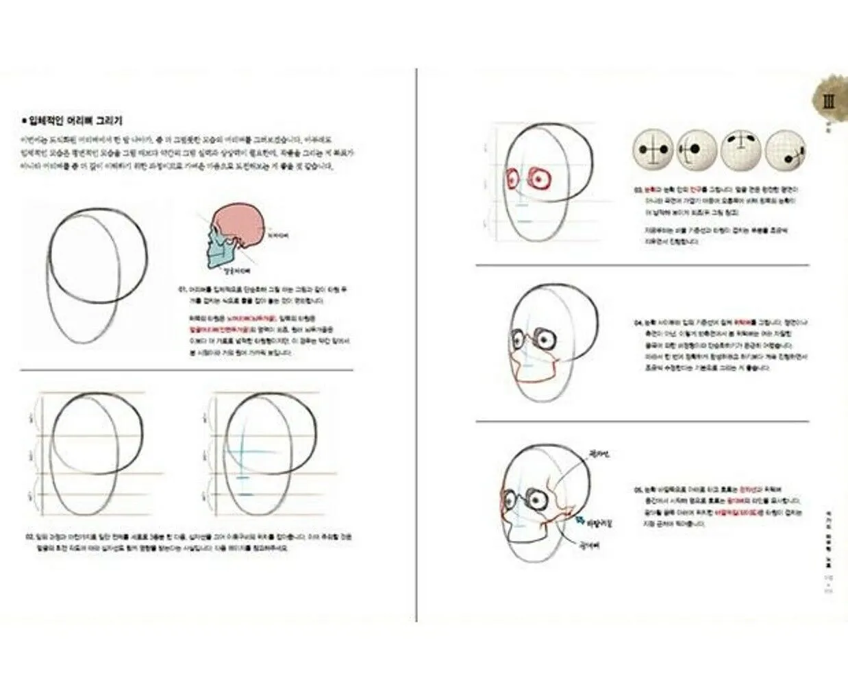 Stonehouse Anatomy