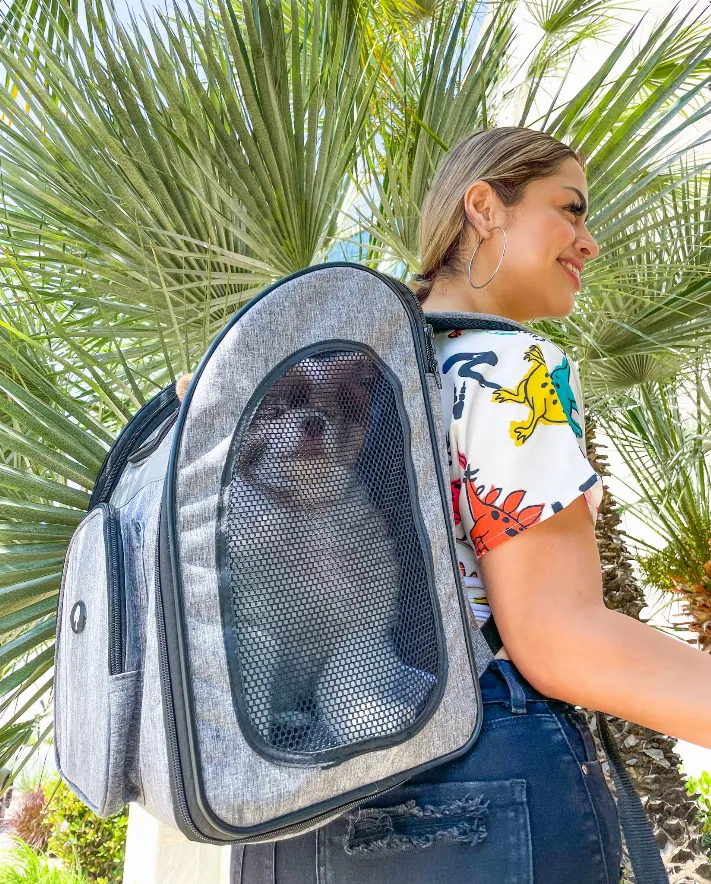 The Backpacker Pet Carrier